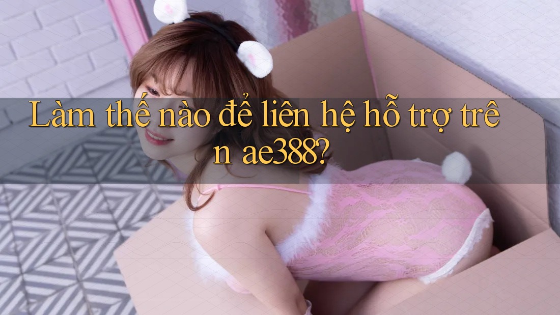Làm thế nào để liên hệ hỗ trợ trên ae388? Làm thế nào để liên hệ hỗ trợ trên ae388?