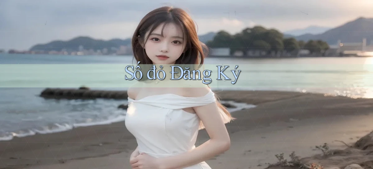số đỏ Đăng ký
